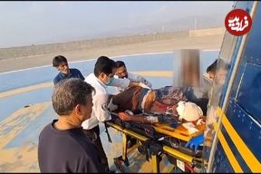 نجات معجزه‌آسای چوپان در حمله خرس سیاه