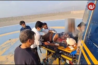 نجات معجزه‌آسای چوپان در حمله خرس سیاه