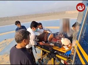 نجات معجزه‌آسای چوپان در حمله خرس سیاه