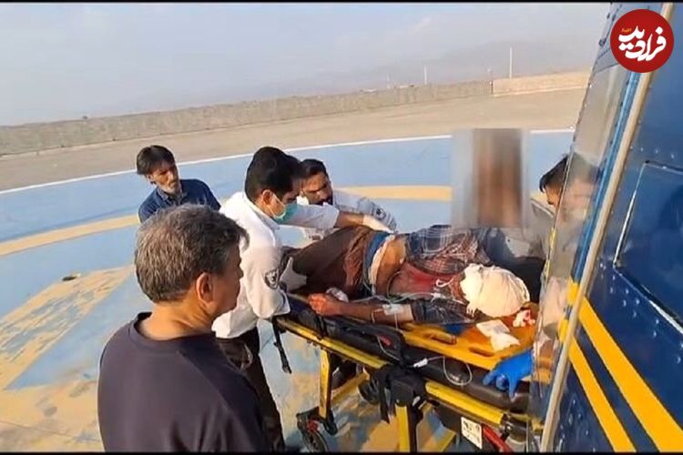 نجات معجزه‌آسای چوپان در حمله خرس سیاه