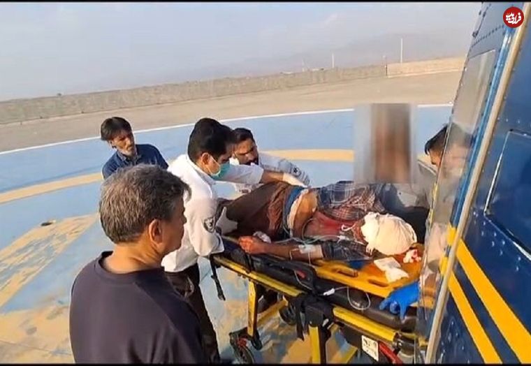 نجات معجزه‌آسای چوپان در حمله خرس سیاه