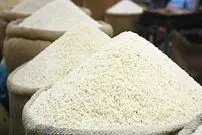 قیمت برنج خارجی در بازار چند؟؛ نرخ دولتی گران تر از کف بازار