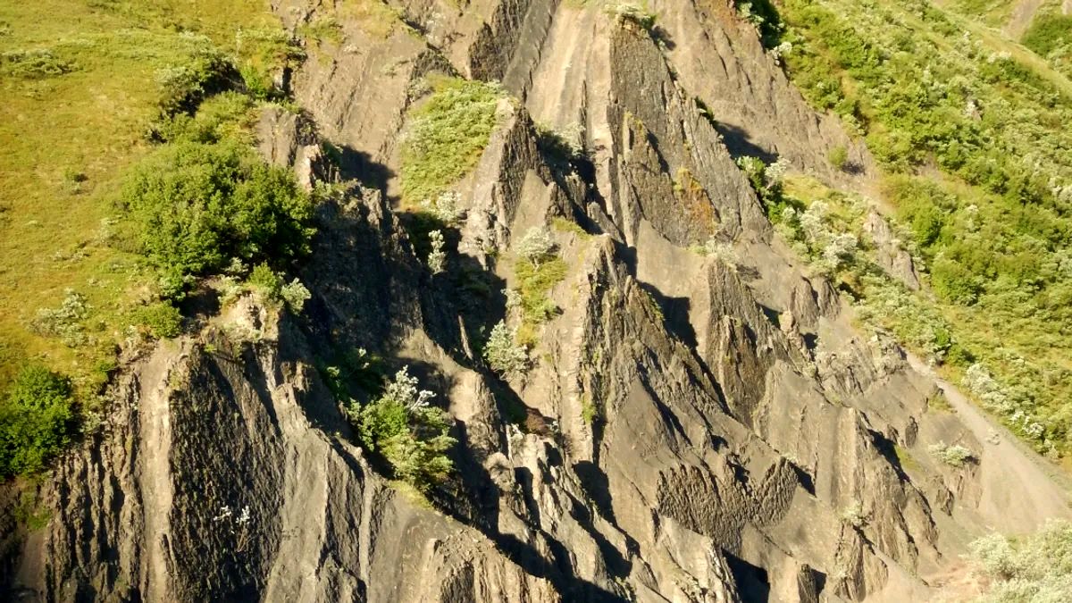 کشف ردپا‌های ۷۰ میلیون ساله روی یک صخرۀ عمودی!