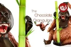 ببینید| مراحل ساخت یک اورانگوتان بزرگ با 63 کیلوگرم شکلات خالص به روش قناد ماهر آمریکایی