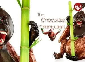 ببینید| مراحل ساخت یک اورانگوتان بزرگ با 63 کیلوگرم شکلات خالص به روش قناد ماهر آمریکایی