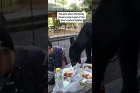 (ویدئو) ورود ناگهانی خرس سیاه به میز ناهار، خانواده مکزیکی را تا مرز سکته پیش برد!
