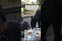 (ویدئو) ورود ناگهانی خرس سیاه به میز ناهار، خانواده مکزیکی را تا مرز سکته پیش برد!