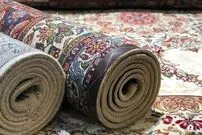 افزایش کلاهبرداری در پوشش خدمات قالیشویی