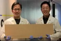 تصاویر؛ چوبی که ۱۰ برابر قوی‌تر از فولاد است