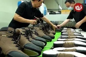 ببینید| مراحل تولید انبوه کفش های ایمنی در کارخانه ای در کره جنوبی