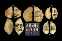 کشف «تیرهای سمّی» با قدمت 60 هزار سال