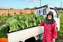 ببینید؛ غذای روستایی در ژاپن؛ برداشت تاکانا و تهیه ترشی با آن