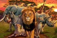 (عکس) این حیوان از انسان‌ها متنفر است