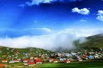 وقتی جنگل به ساحل می‌ رسد | گیسوم چطور مقصد گردشگران شد؟
