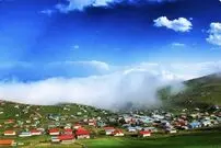 وقتی جنگل به ساحل می‌ رسد | گیسوم چطور مقصد گردشگران شد؟