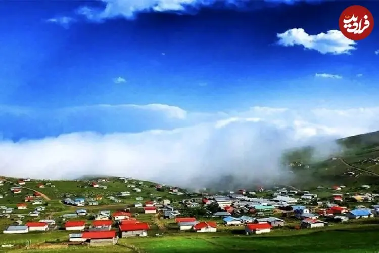 وقتی جنگل به ساحل می‌ رسد | گیسوم چطور مقصد گردشگران شد؟