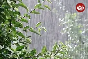 ورود سامانه بارشی به کشور طی روز شنبه