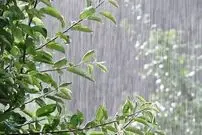 ورود سامانه بارشی به کشور طی روز شنبه