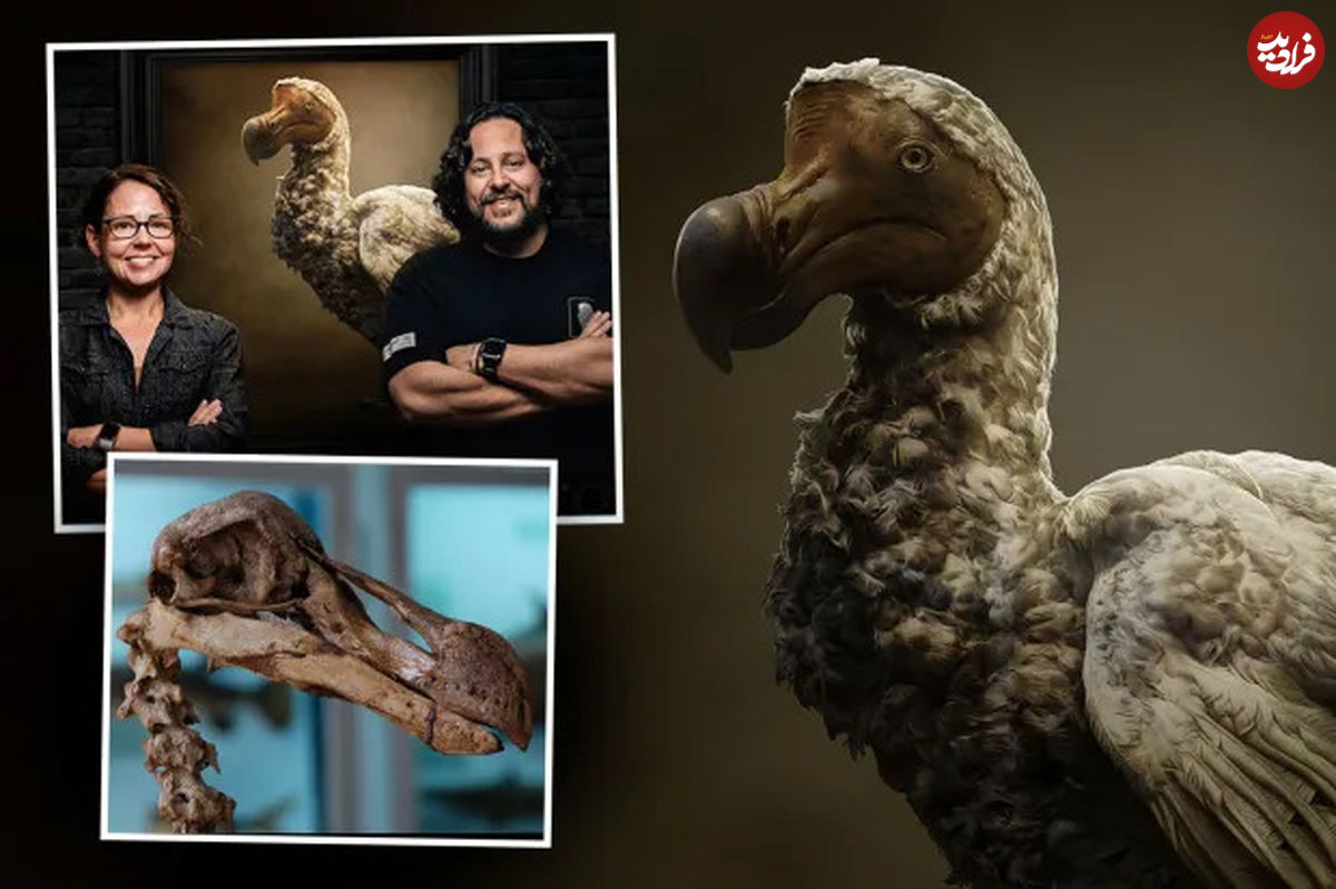 دانشمندان در آستانه بازگرداندن پرنده ای منقرض شده پس از پیشرفت های باورنکردنی