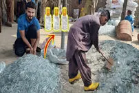 (ویدئو) فرآیند دیدنی تولید هزاران شیشه عطر با شیشه شکسته دورریز