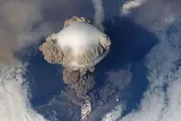 پمپئی حیوانات؛ جانوران مدفون در زیر خاکستر ۱۲ میلیون ساله!