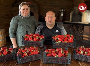 ببینید؛ غذای روستایی در داغستان؛ تهیه مربای توت فرنگی و جوجه کباب
