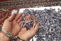 کشف باورنکردنی ۱.۹ کیلوگرم تریاک از معده ۳ قاچاقچی