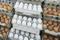 قیمت هر کیلو تخم‌مرغ درب مرغداری ۱۰۰ هزار تومان شد