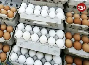 قیمت هر کیلو تخم‌مرغ درب مرغداری ۱۰۰ هزار تومان شد