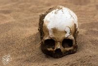 عکس| کشف جمجمه یک میلیون ساله با ویژگی‌های انسان مدرن در چین