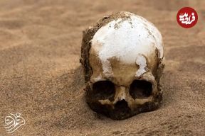 عکس| کشف جمجمه یک میلیون ساله با ویژگی‌های انسان مدرن در چین