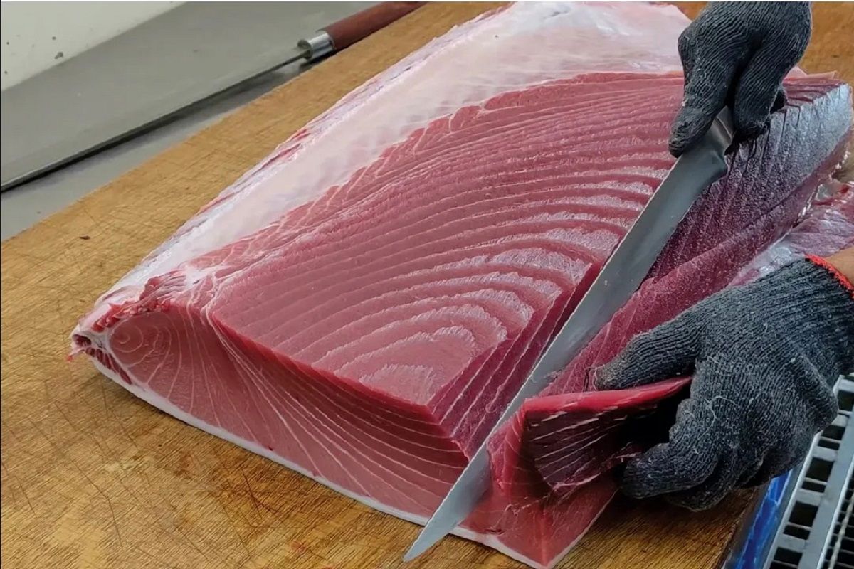 (ویدئو) مهارت تماشایی ماهیگیر چینی در برش زدن ماهی تن 580 پوندی با قمه