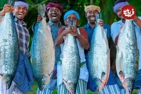 ببینید| غذای روستایی در آمریکا؛ کباب ماهی سالمون و تهیه خوراک با آن به سبک هندی