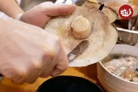ببینید| غذای خیابانی در ژاپن؛ پخت غذا با شاه خرچنگ، صدف دو کفه ای و خاویار در توکیو