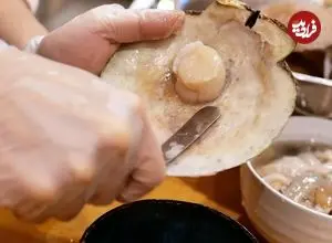 ببینید| غذای خیابانی در ژاپن؛ پخت غذا با شاه خرچنگ، صدف دو کفه ای و خاویار در توکیو