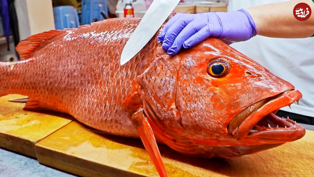 (ویدئو) مهارت جالب آشپز چینی در برش و پخت ماهی قرمز اسناپر