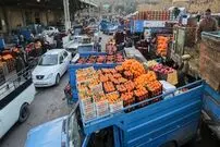 سیب‌زمینی و گوجه‌فرنگی به شدت ارزان شد؛ قیمت جدید