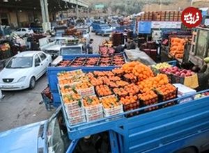 سیب‌زمینی و گوجه‌فرنگی به شدت ارزان شد؛ قیمت جدید