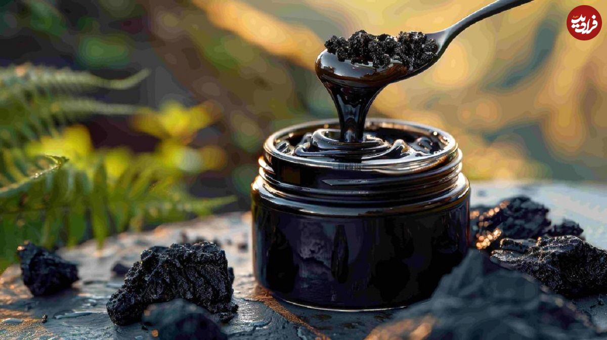 تصاویر؛ شیلاجیت چیست و چرا به آن «طلای سیاه کوهها» میگویند؟