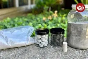 نوآوری با الهام از روم باستان؛ محقق دانشگاه استنفورد از سنگ‌های آتشفشانی سیمان تولید کرد