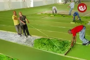 ببینید| مراحل تولید انبوه صابون به صورت دستی و در کارگاهی در پاکستان