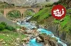 چشمه تووه، یکی از مهم‌ترین زیستگاه‌های زیرزمینی ایران و جهان