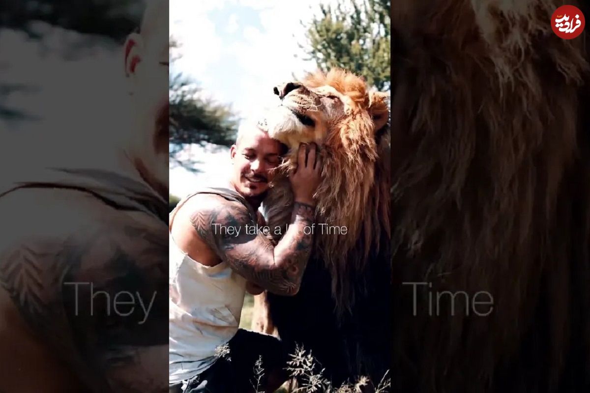 (ویدئو) دوستی باورنکردنی جوان سوئیسی با یک شیر نر بزرگ