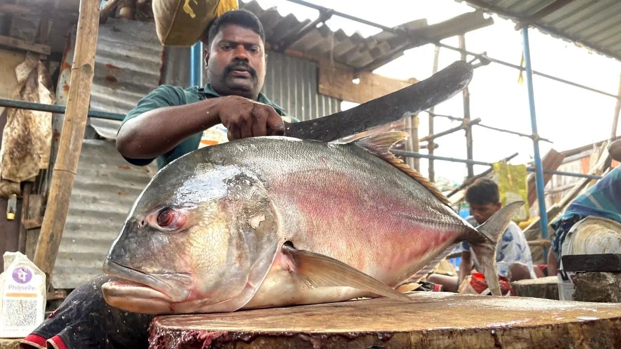 (ویدئو) برش زدن ماهرانه و درخشان یک ماهی غول پیکر توسط یک استاد هندی