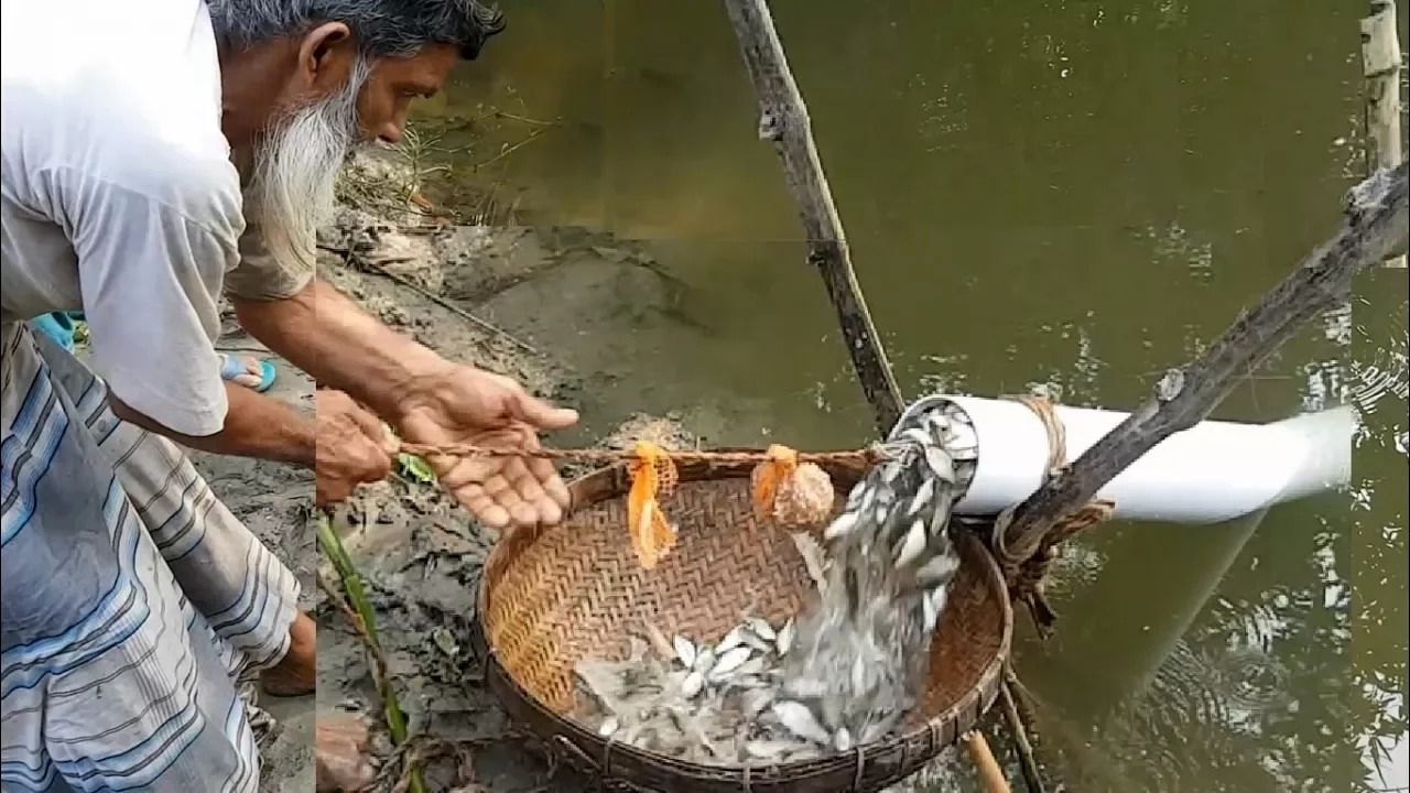 (ویدئو) تله جالبی که مرد بنگلادشی ساخت و با آن ماهی صید کرد