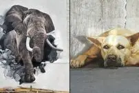 شاهکارهای حیوانی که هنرمندان خیابانی خلق کرده‌اند؛ از «خرس بازیافتی» تا «فیل لاستیکی»