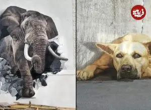شاهکارهای حیوانی که هنرمندان خیابانی خلق کرده‌اند؛ از «خرس بازیافتی» تا «فیل لاستیکی»