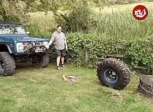 ببینید؛ درآوردن کنده درخت از خاک به کمک فیزیک