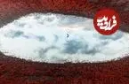 شاهکارهای عکاسی حیات وحش «از بالا»