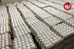 قیمت تخم امروز ۹ اردیبهشت؛ تخم‌مرغ بسته‌بندی شده چند؟ + جدول